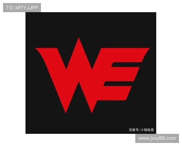 WE战队防守反击策略分析及其成败得失探讨