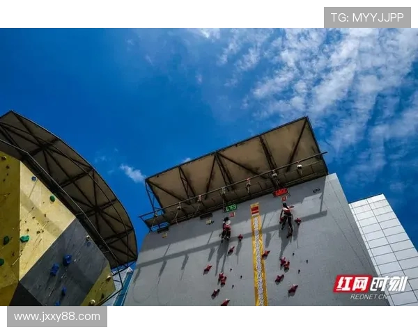 南京攀岩队速度之争引发热议攀岩爱好者的不同声音与看法